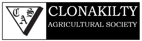website logo